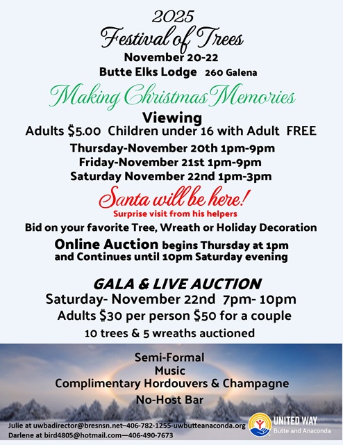Festival of Trees